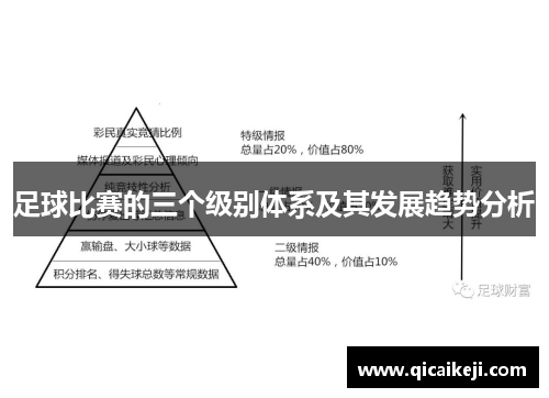 足球比赛的三个级别体系及其发展趋势分析